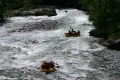 IMG_5532_684644.jpg