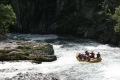 IMG_5554_884616.jpg