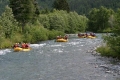 IMG_5561_2_80951.jpg