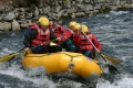 IMG_5569_480647.jpg