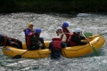 IMG_5600_683485.jpg