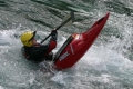 IMG_5610_350599.jpg