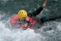 IMG_5731_411973.jpg