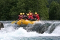 IMG_5854_889393.jpg