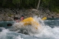 IMG_5901_481910.jpg