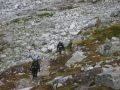 RYC_008_980537.jpg