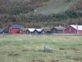 RYC_010_266394.jpg